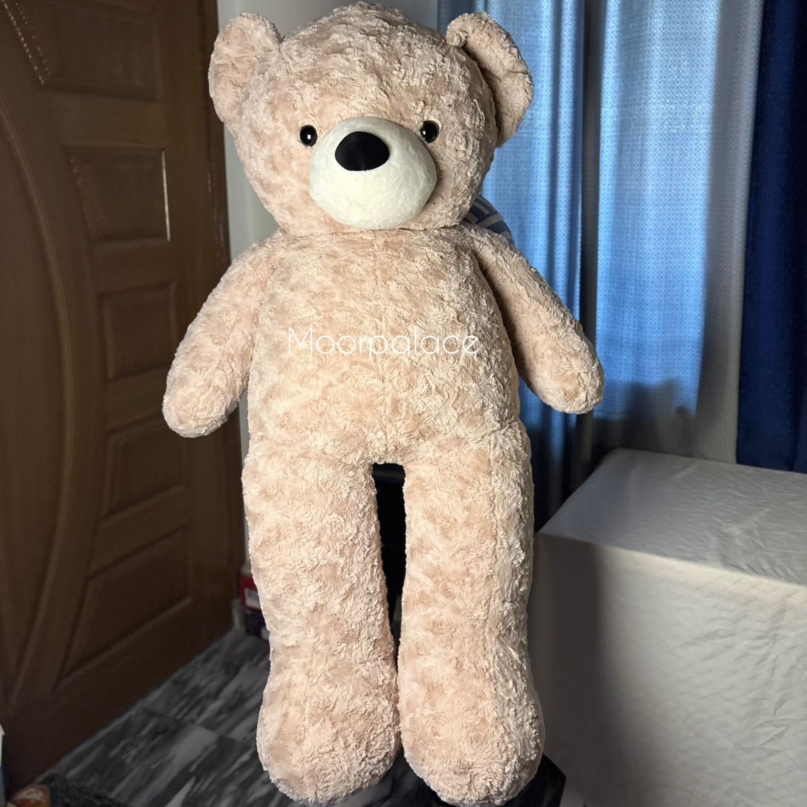 Pookie Teddy Deal