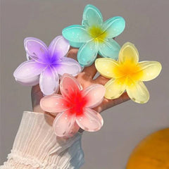 Claw Clip