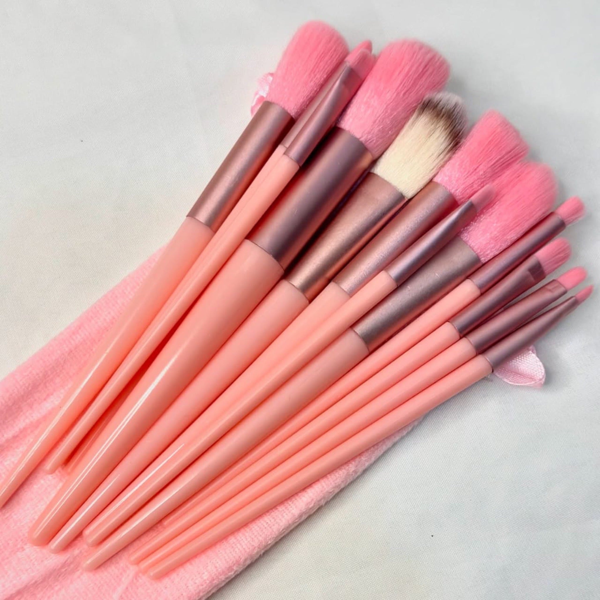 Brush set with velvet pouch